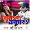 About Suna Ae Kabutar Song